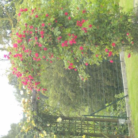 Au Fil De L'Eau Bed & Breakfast Saulzoir Bagian luar foto